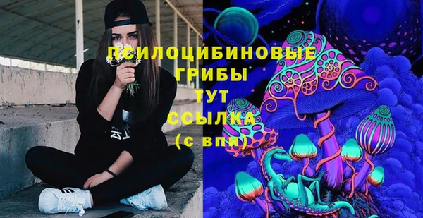 шишки Верхнеуральск