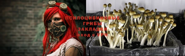 эйфоретик Наволоки