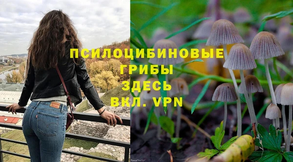 гидропоника Навашино