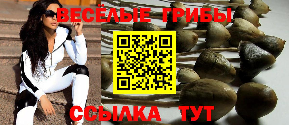Галлюциногенные грибы Psilocybe  Усолье-Сибирское 