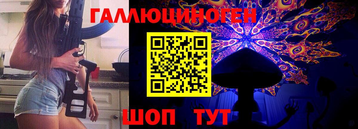 Галлюциногенные грибы Psilocybe Усолье-Сибирское
