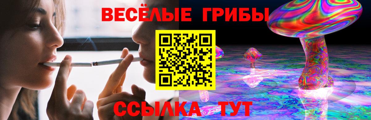 Галлюциногенные грибы мухоморы Усолье-Сибирское